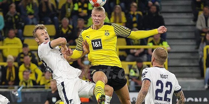 Hoffenheim vs Mainz: prediction for the Bundesliga match Hoffenheim vs Mainz: prediction for the Bundesliga match