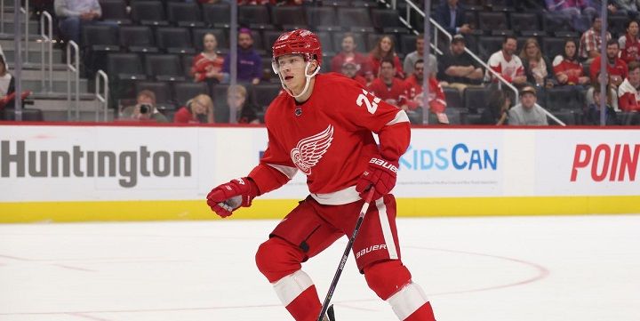 Detroit vs Tampa: prediction for the NHL fixture Detroit vs Tampa: prediction for the NHL fixture