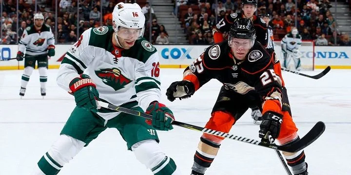 Anaheim Ducks - Minnesota Wild