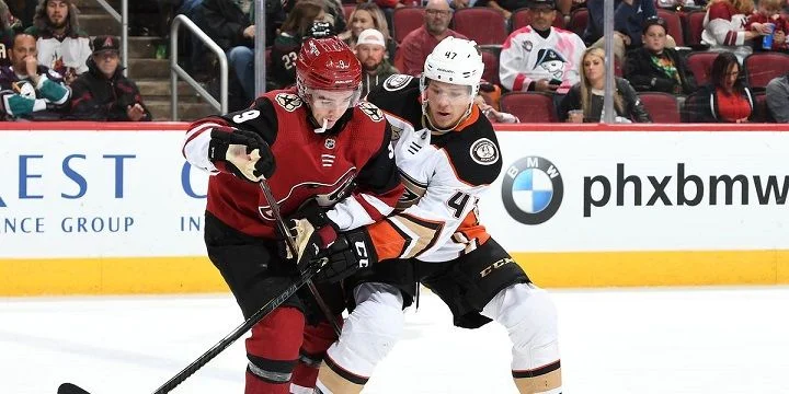 Anaheim Ducks - Arizona Coyotes Anaheim Ducks - Arizona Coyotes