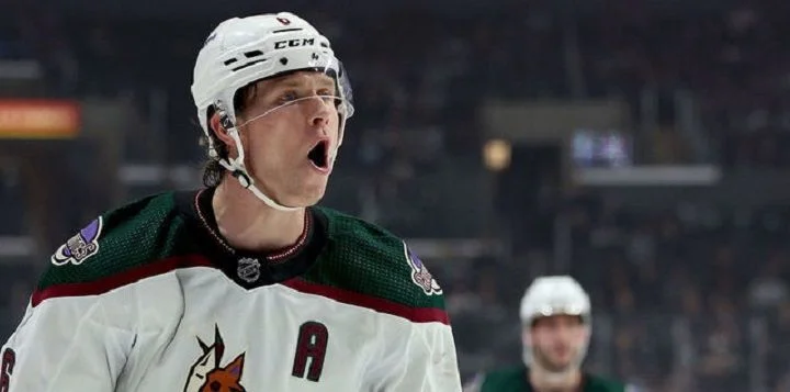 Arizona Coyotes - Chicago Blackhawks Arizona Coyotes - Chicago Blackhawks