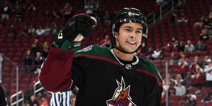 Arizona Coyotes - Boston Bruins Arizona Coyotes - Boston Bruins