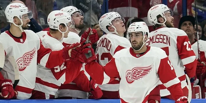 Detroit Red Wings - Minnesota Wild