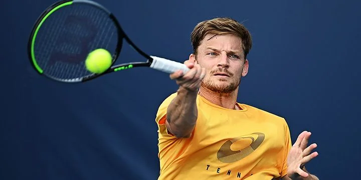 David Goffin - Jack Sock