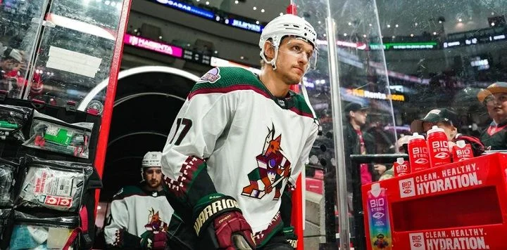 Arizona Coyotes - Florida Panthers Arizona Coyotes - Florida Panthers