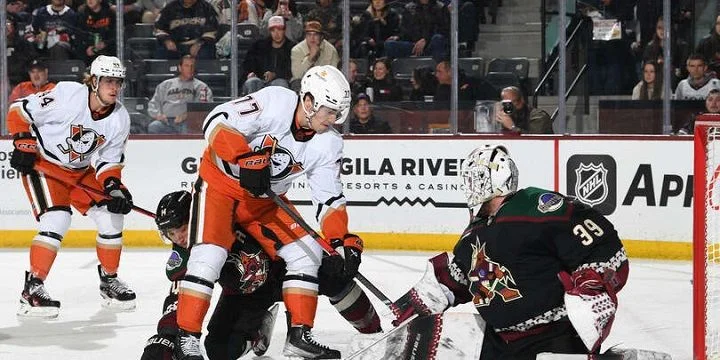 Anaheim Ducks - Arizona Coyotes Anaheim Ducks - Arizona Coyotes