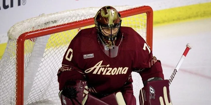 Arizona Coyotes - Minnesota Wild Arizona Coyotes - Minnesota Wild
