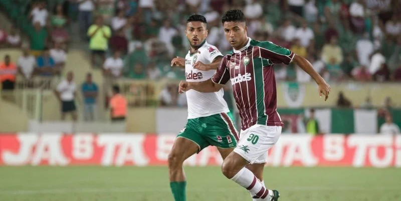 Red Bull Bragantino - Fluminense Red Bull Bragantino - Fluminense
