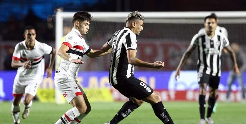 Botafogo RJ vs Bahia Prediction and Betting Tips (31.07.2024) Botafogo RJ vs Bahia Prediction and Betting Tips (31.07.2024)