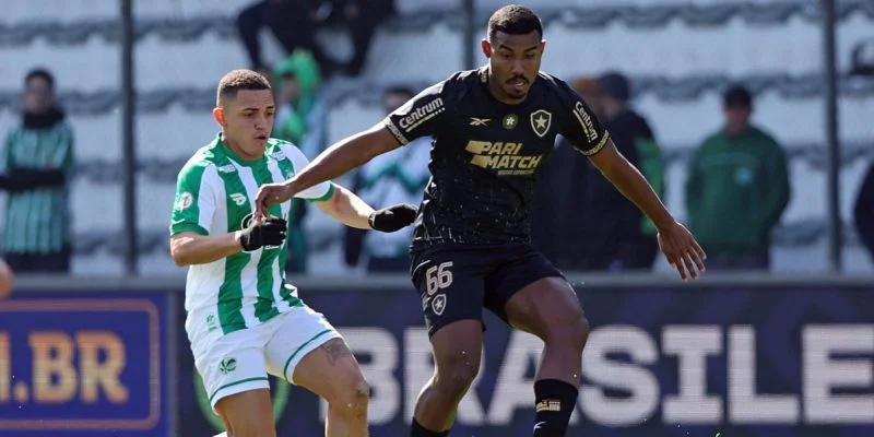 Botafogo RJ vs Palmeiras Prediction and Betting Tips (15.08.2024) Botafogo RJ vs Palmeiras Prediction and Betting Tips (15.08.2024)