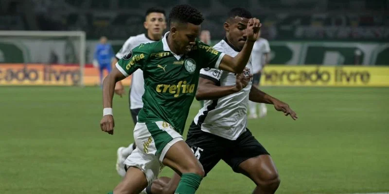 Palmeiras - Cuiaba Palmeiras - Cuiaba