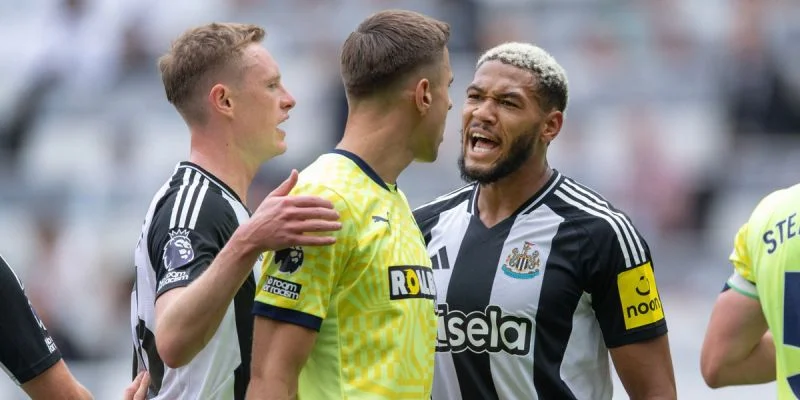 AFC Bournemouth vs Newcastle United Prediction and Betting Tips (25.08.2024) AFC Bournemouth vs Newcastle United Prediction and Betting Tips (25.08.2024)