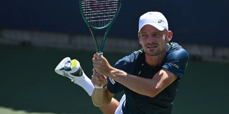 David Goffin - Adrian Mannarino David Goffin - Adrian Mannarino