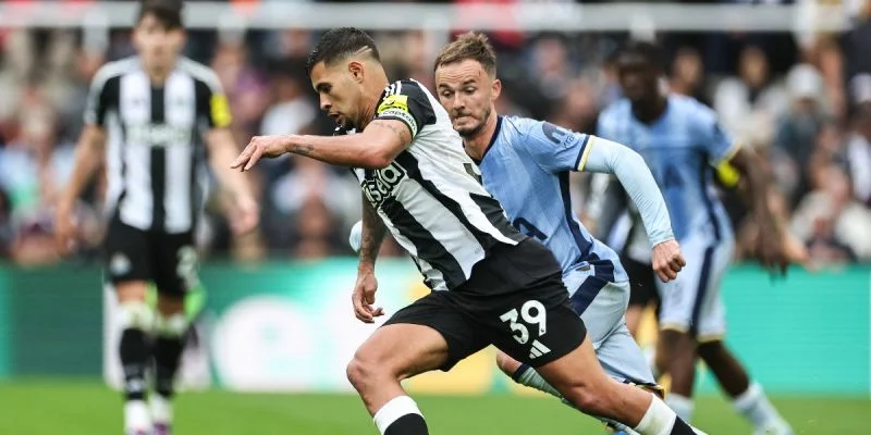 Wolverhampton Wanderers - Newcastle United Wolverhampton Wanderers - Newcastle United