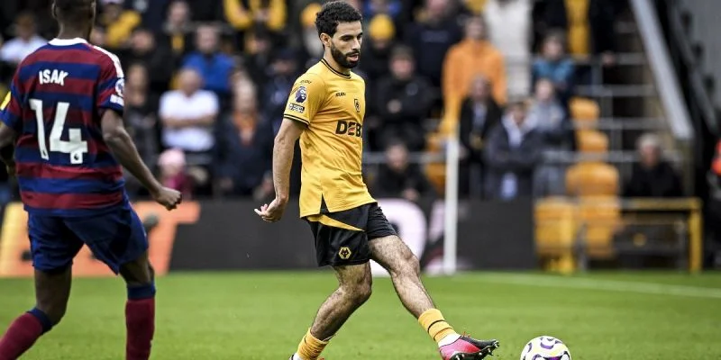 Brighton & Hove Albion - Wolverhampton Wanderers Brighton & Hove Albion - Wolverhampton Wanderers