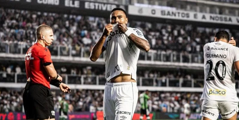 Botafogo SP - Santos FC Botafogo SP - Santos FC