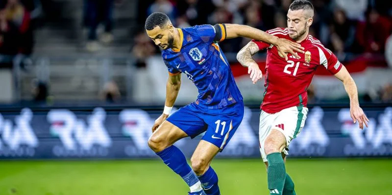 Germany vs Netherlands Prediction and Betting Tips (14.10.2024) Germany vs Netherlands Prediction and Betting Tips (14.10.2024)