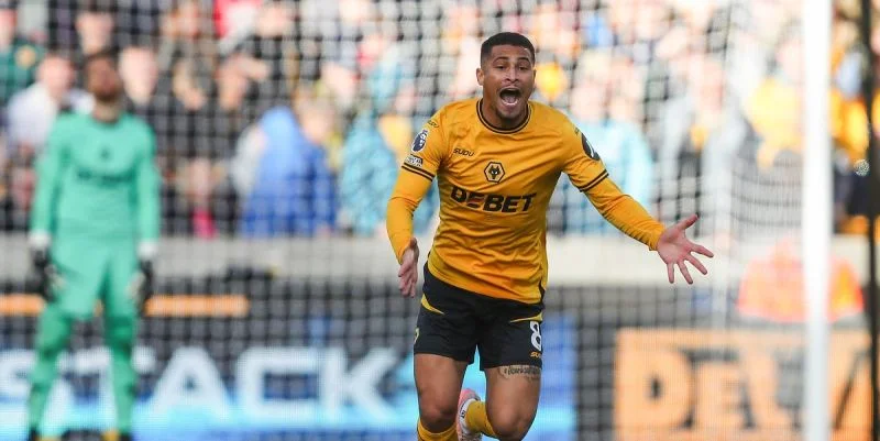Brighton & Hove Albion - Wolverhampton Wanderers Brighton & Hove Albion - Wolverhampton Wanderers