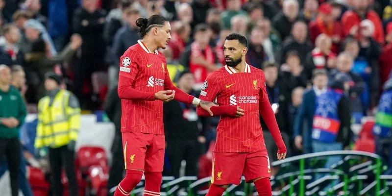 Liverpool vs Brighton & Hove Albion Prediction and Betting Tips (02.11.2024) Liverpool vs Brighton & Hove Albion Prediction and Betting Tips (02.11.2024)