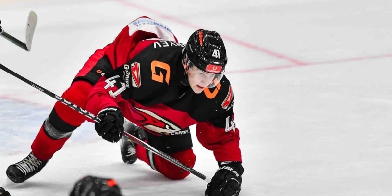 Ladya Togliatti Juniors vs Omskie Yastreby Prediction and Betting Tips (15.11.2024) Ladya Togliatti Juniors vs Omskie Yastreby Prediction and Betting Tips (15.11.2024)