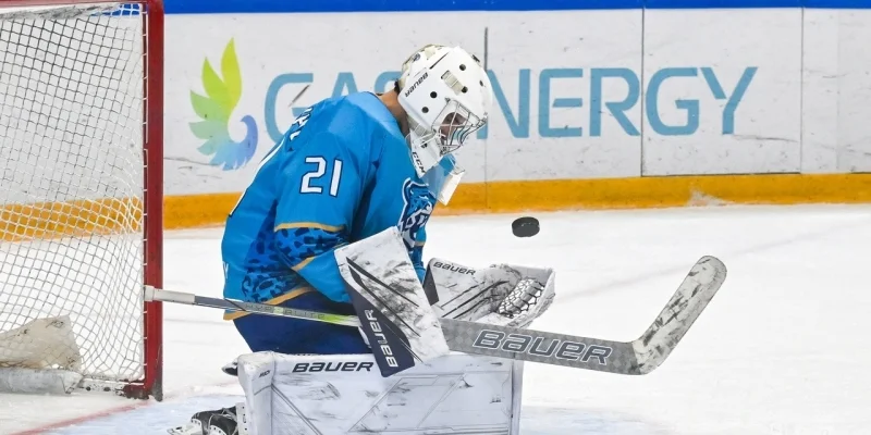 Reaktor vs Snezhnye Barsy Prediction and Betting Tips (09.01.2025) Reaktor vs Snezhnye Barsy Prediction and Betting Tips (09.01.2025)