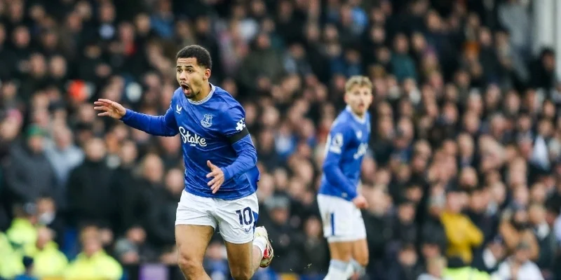 Brighton & Hove Albion - Everton Brighton & Hove Albion - Everton