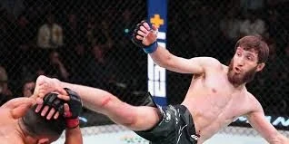 Said Nurmagomedov vs Vinicius Oliveira Prediction and Betting Tips (01.02.2025) Said Nurmagomedov vs Vinicius Oliveira Prediction and Betting Tips (01.02.2025)