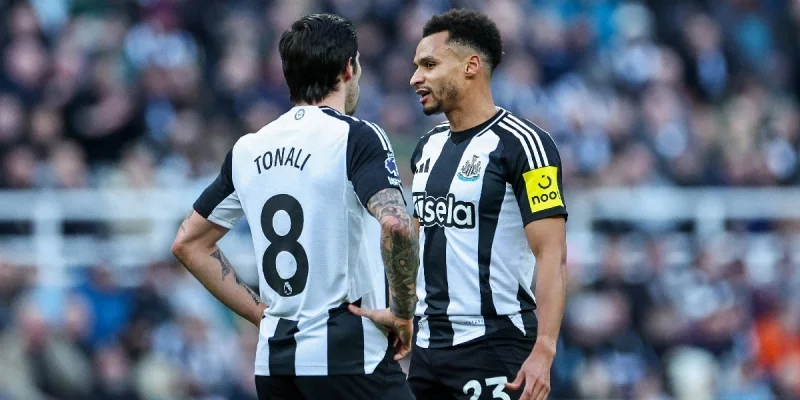 Birmingham City vs Newcastle United Prediction and Betting Tips (08.02.2025) Birmingham City vs Newcastle United Prediction and Betting Tips (08.02.2025)