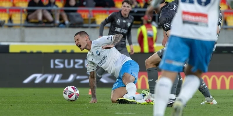 Sydney FC - Wellington Phoenix Sydney FC - Wellington Phoenix