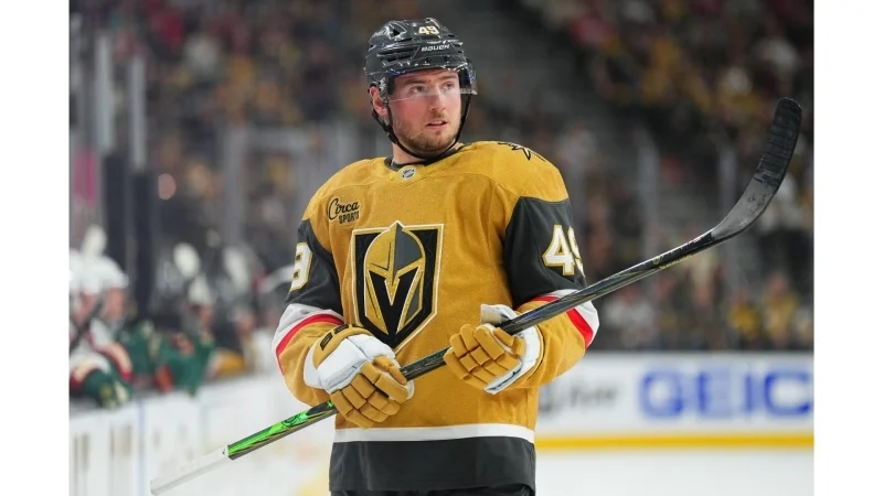 Vegas Golden Knights - Minnesota Wild Vegas Golden Knights - Minnesota Wild