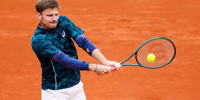 David Goffin - Alexandre Muller David Goffin - Alexandre Muller