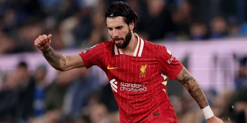 Brighton & Hove Albion - Liverpool Brighton & Hove Albion - Liverpool