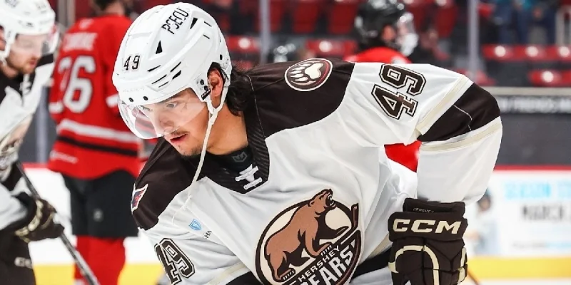 Hershey Bears - Charlotte+Checkers Hershey Bears - Charlotte+Checkers