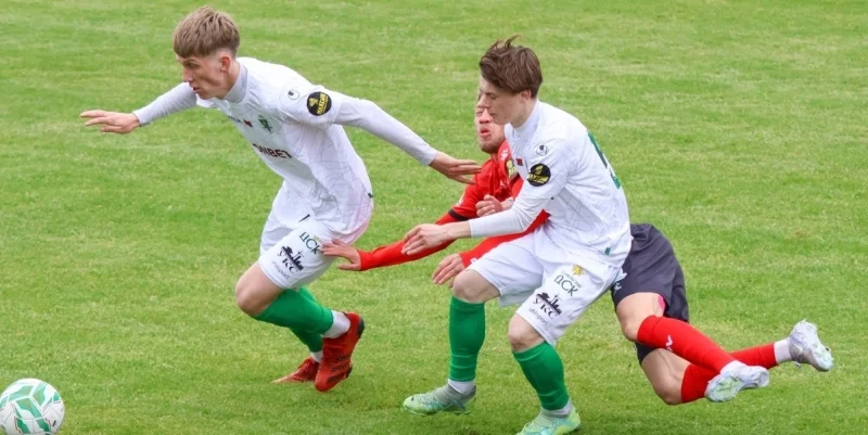 Gomel-2 - Belarus U19 Gomel-2 - Belarus U19