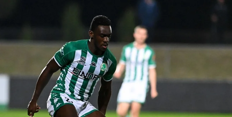 Dandenong City vs Green Gully Cavaliers Prediction and Betting Tips (13.06.2025) Dandenong City vs Green Gully Cavaliers Prediction and Betting Tips (13.06.2025)