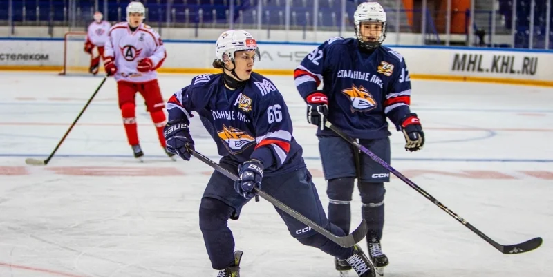 Stalnye Lisy - Irbis Kazan