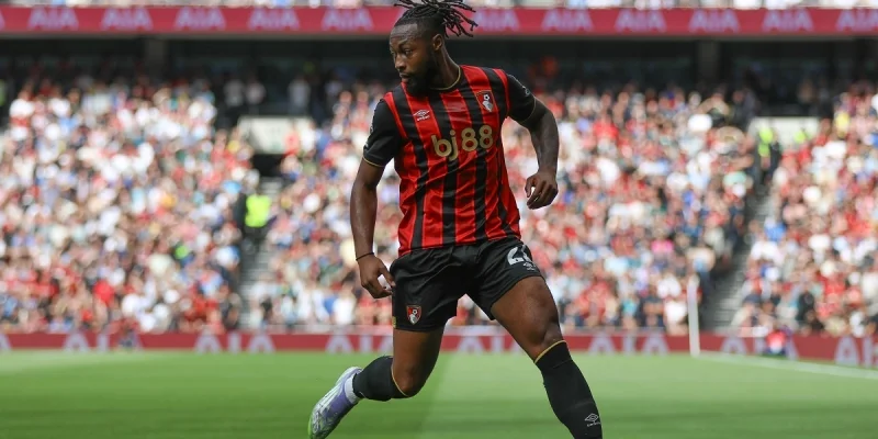 AFC Bournemouth - Brighton & Hove Albion