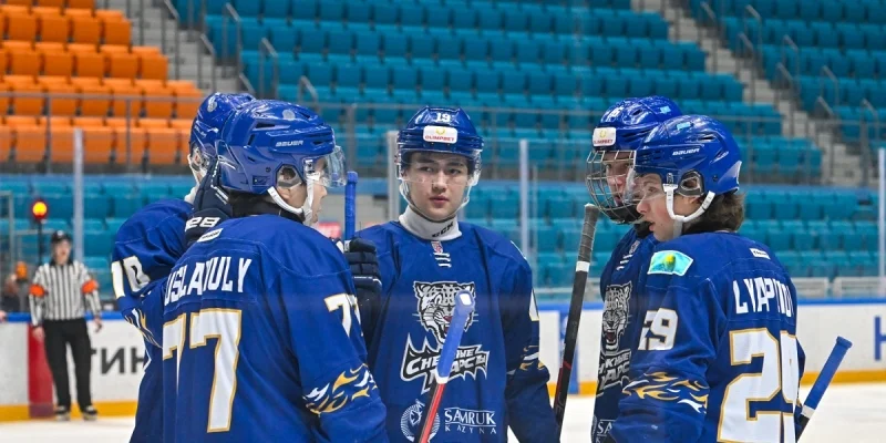 Sputnik Almetyevsk - Snezhnye Barsy