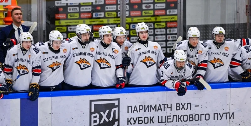 Stalnye Lisy - Tyumensky Legion