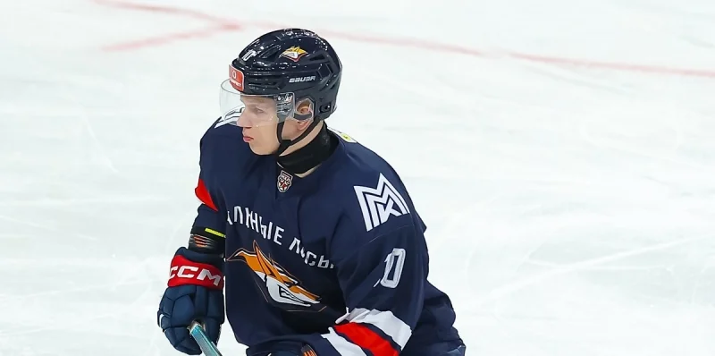 Stalnye Lisy - Omskie Yastreby Stalnye Lisy - Omskie Yastreby