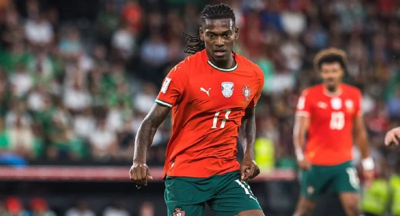 Portugal - Hungary Portugal - Hungary
