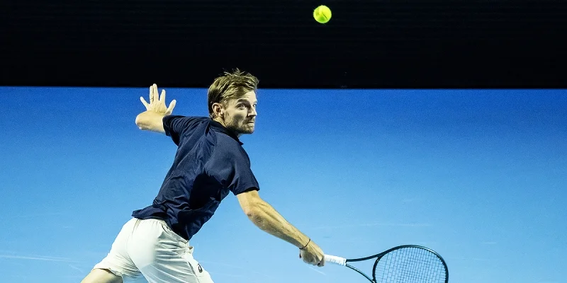 David Goffin - Marin Cilic