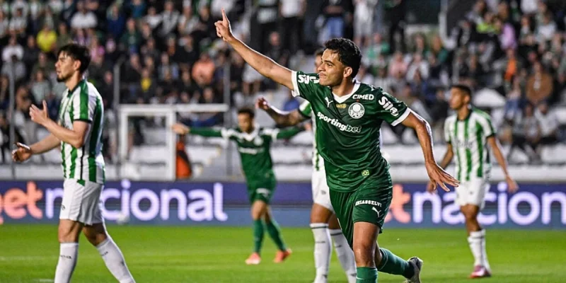 Palmeiras - Santos FC Palmeiras - Santos FC