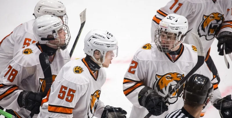 Amurskie Tigry - MHC Dynamo
