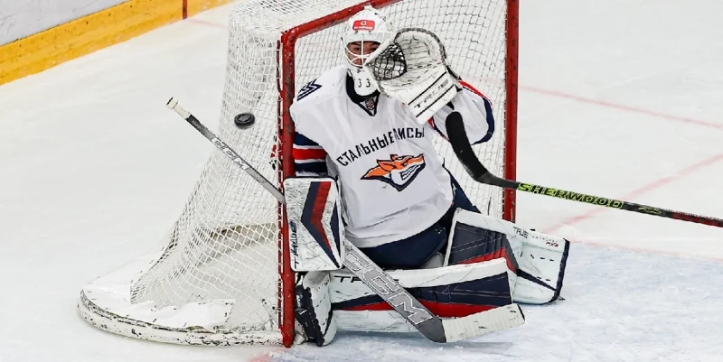 Stalnye Lisy - Reaktor