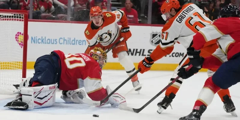 Florida Panthers - Edmonton Oilers Florida Panthers - Edmonton Oilers