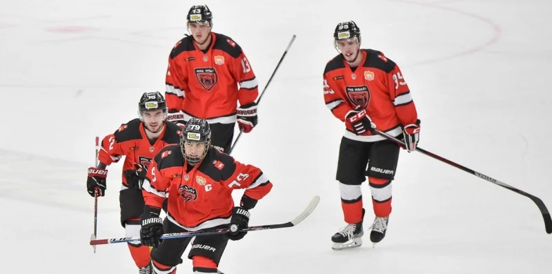 Molot-Prikamye Perm Juniors - Chaika