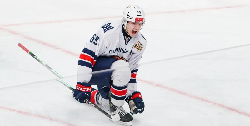 Stalnye Lisy - Krasnaya Armiya Stalnye Lisy - Krasnaya Armiya