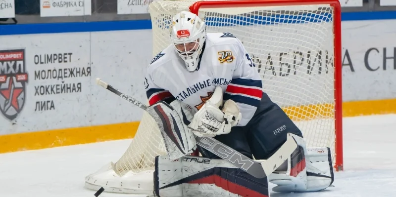 Stalnye Lisy - Dinamo Shinnik
