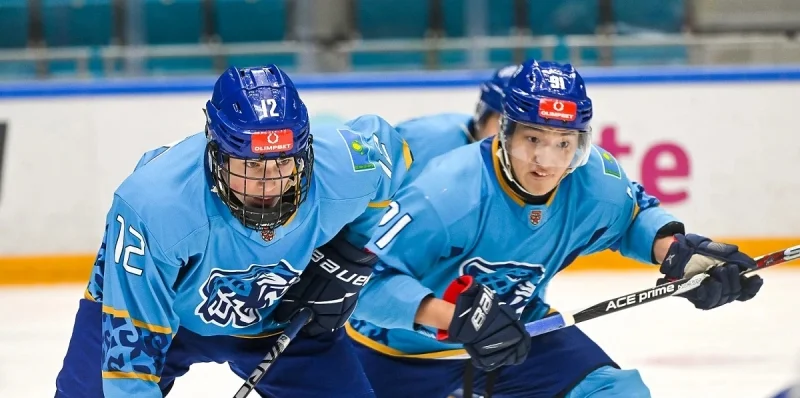 Snezhnye Barsy - Sibirskie Snaipery Snezhnye Barsy - Sibirskie Snaipery